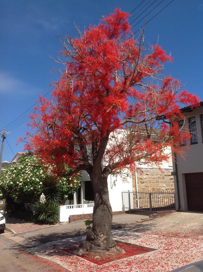 Park House Lodge Mossel Bay Bagian luar foto